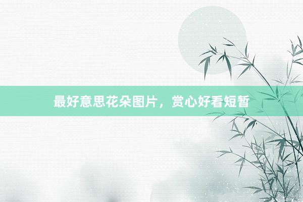 最好意思花朵图片，赏心好看短暂