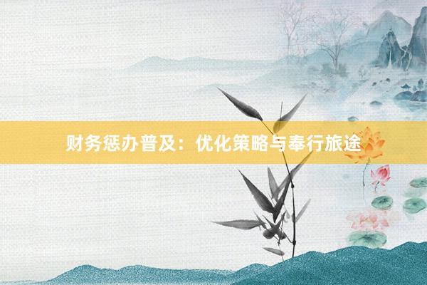 财务惩办普及：优化策略与奉行旅途